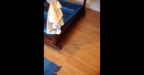 Rovere naturale